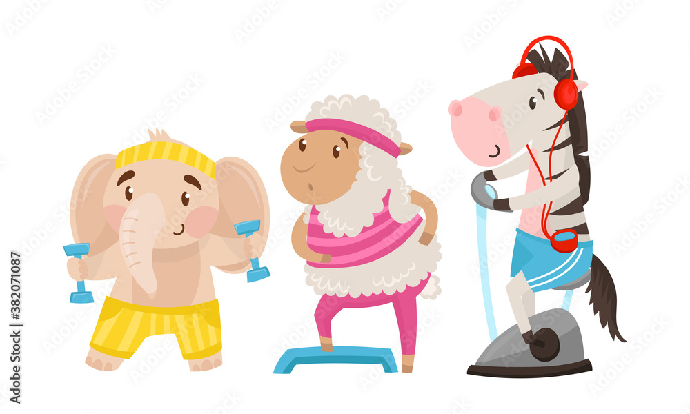 Funny Animals in Sportswear Lifting Dumbbells and Doing Physical Exercise Vector Set Funny Animals in Sportswear Lifting Dumbbells and Doing Physical Exercise Vector Set
