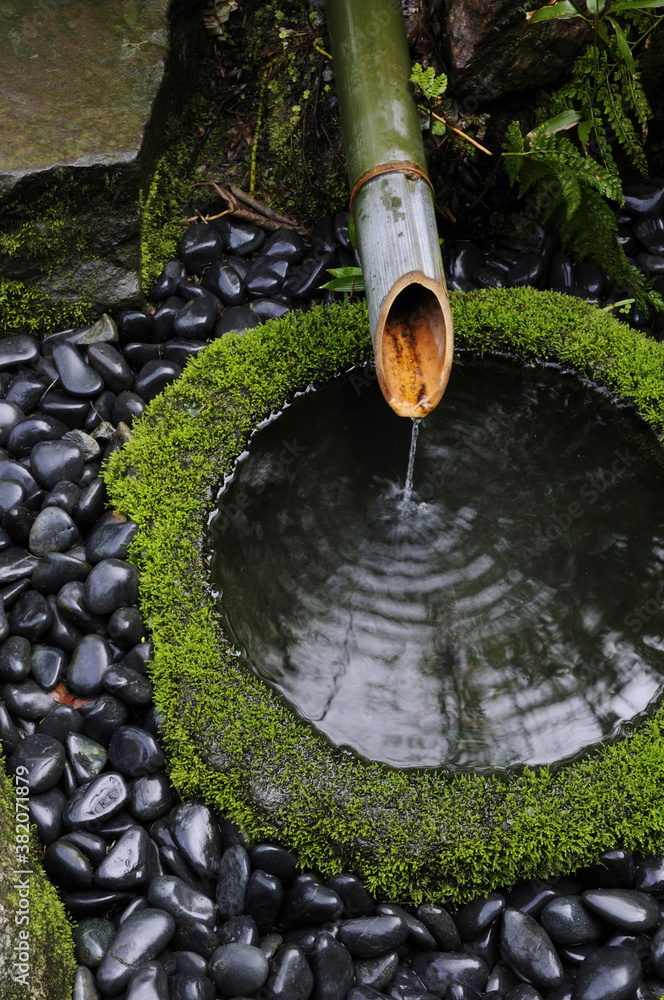 Fototapeta premium 寺の手水場