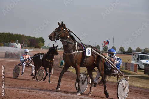 course de chevaux en trot attelé