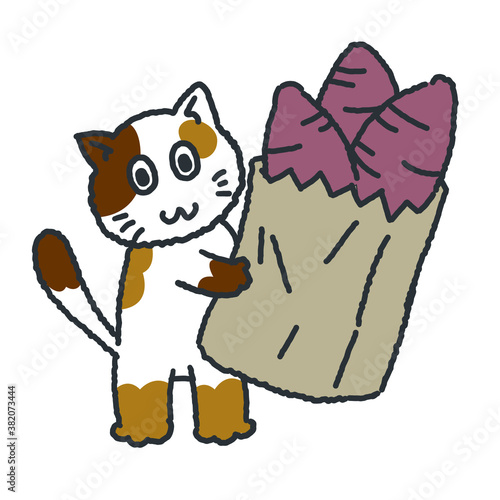 Roasted sweet potato and cat