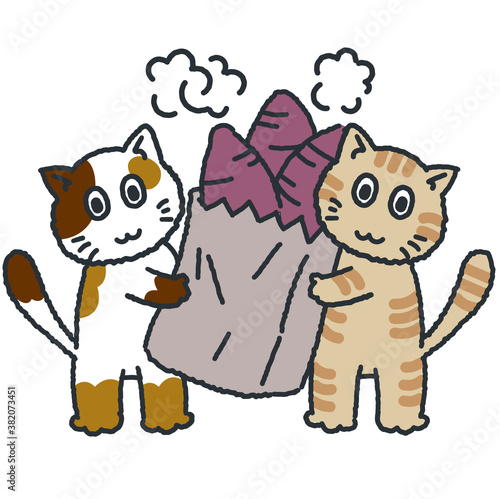 Roasted sweet potato and cat