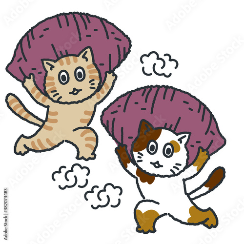 Roasted sweet potato and cat