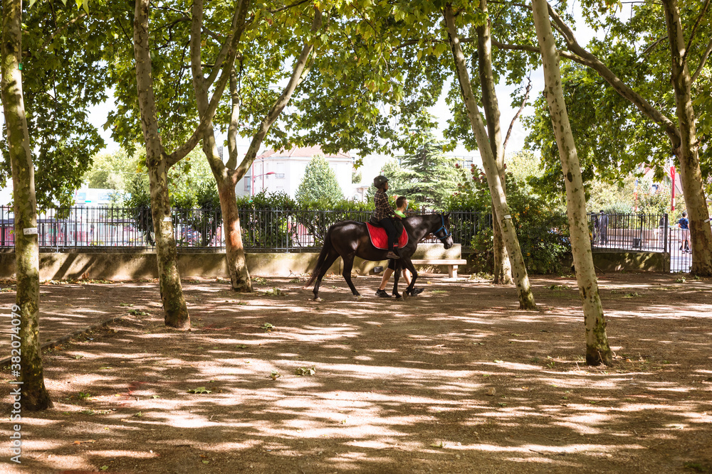 Naklejka premium people walking in the park