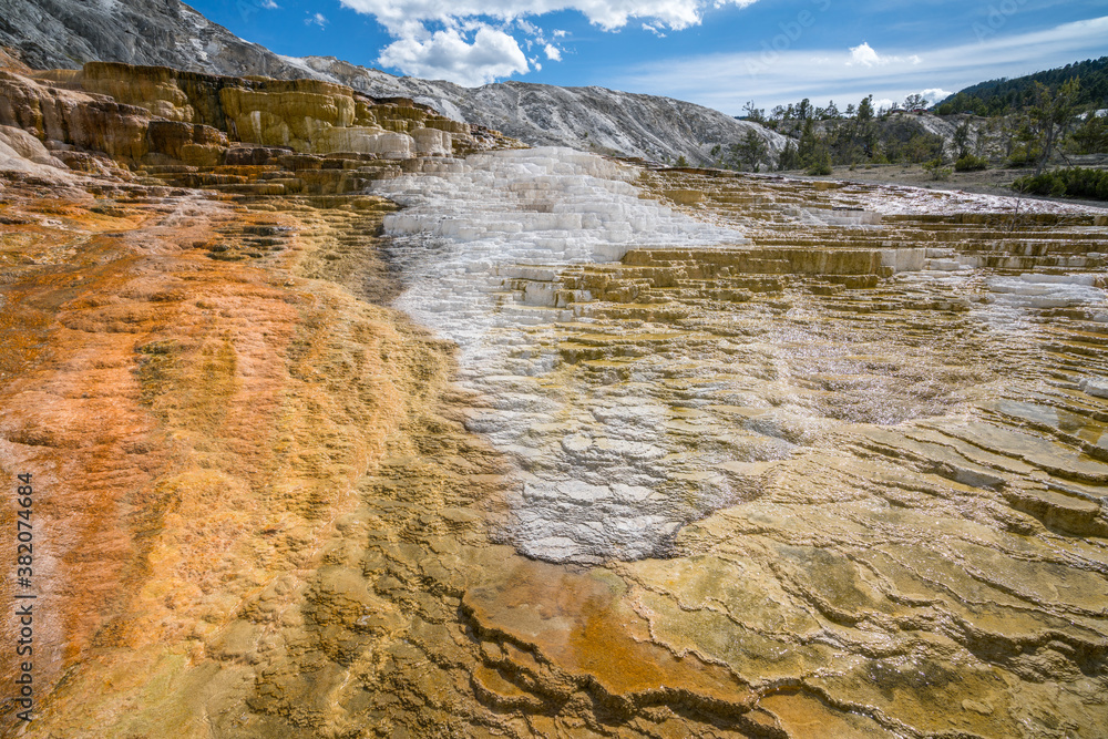hydrothermal areas of mammoth hot springs in yellowstone national park, wyoming in the usa