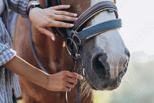 Fototapeta Naklejka Na Ścianę i Meble -  Girl's hand stroking a horse, close up