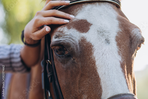 Girl's hand stroking a horse, close up