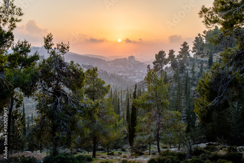 Sunset in Israel forest