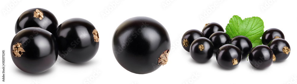 black currant with leaves isolated on white background with clipping path and full depth of field. Set or collection black currant with leaves isolated on white background with clipping path and full depth of field. Set or collection