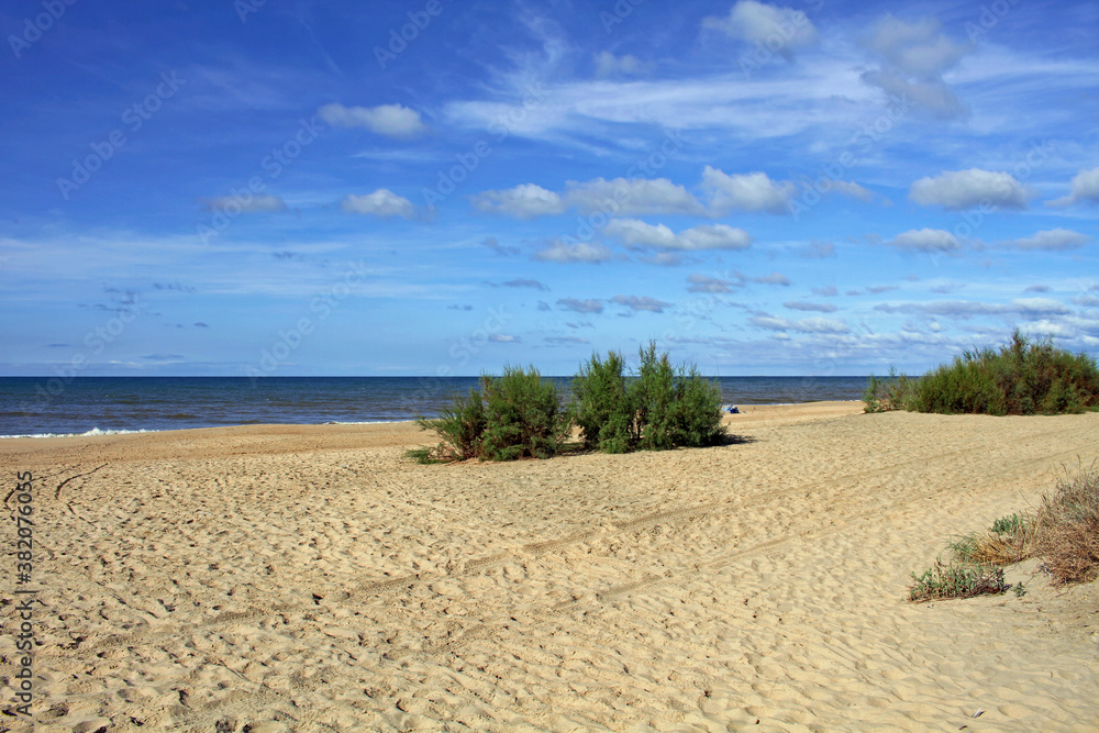 Castilla beach from the access to Cuesta Maneli, an area known as Playa de Cuesta Maneli, a rustic beach around the Doñana Natural Park Castilla beach from the access to Cuesta Maneli, an area known as Playa de Cuesta Maneli, a rustic beach around the Doñana Natural Park
