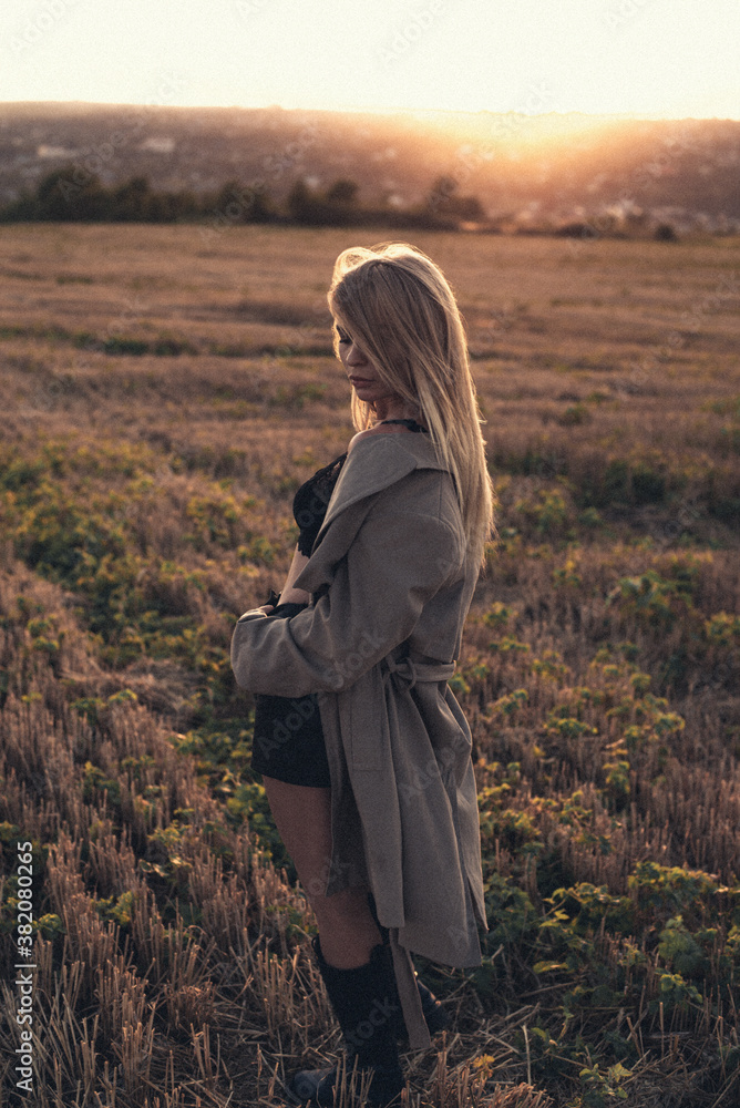 girl in the field at sunset girl in the field at sunset