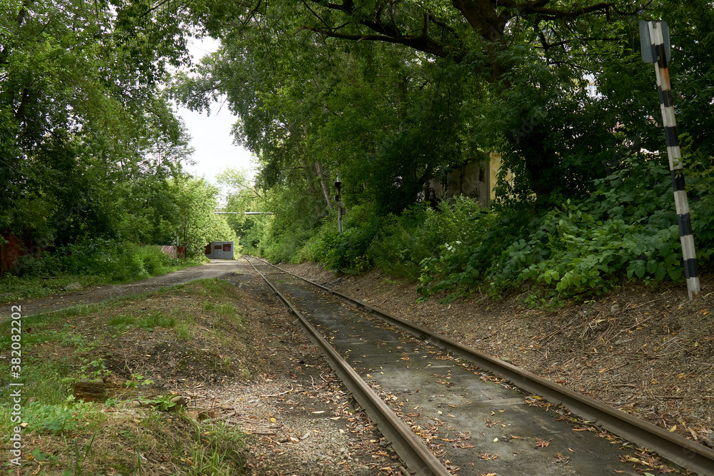 Railway rails in the greenery of urban thickets