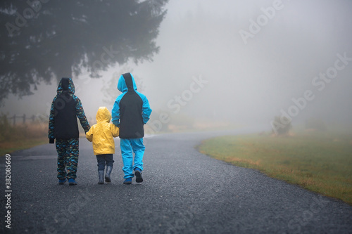 Children, siblings, walking on a rural path on a foggy autumn day