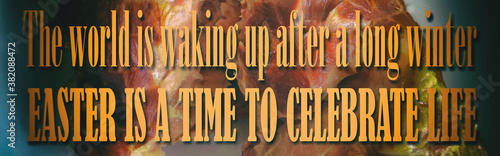The world is waking up after a long winter. Easter is a time to celebrate life. Motivation, poster, quote, blurred image.