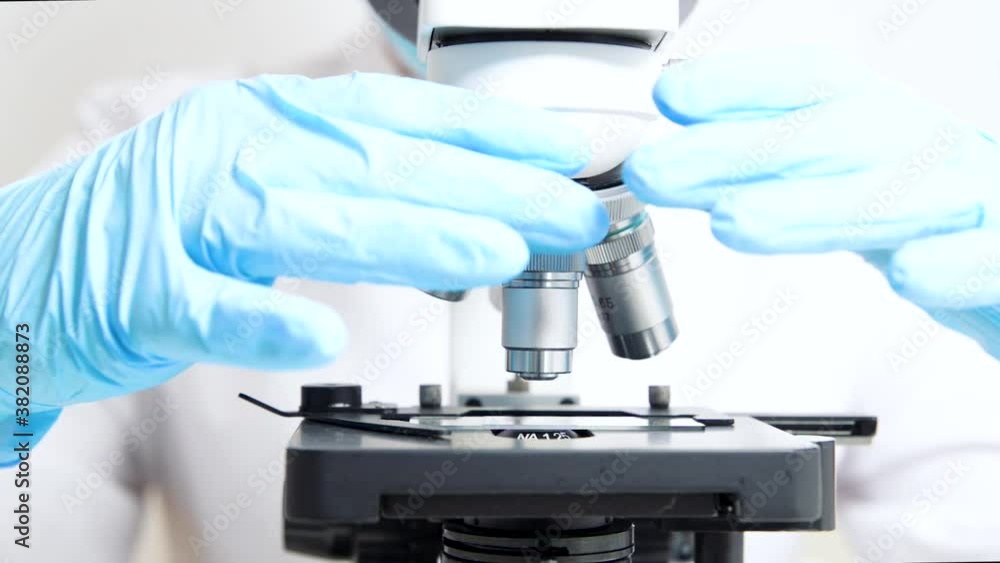 A scientist examines the samples under a microscope. Concept of science and medicine, biology. The doctor examines the blood sample, the cell segment. Laboratory examination. A scientist examines the samples under a microscope. Concept of science and medicine, biology. The doctor examines the blood sample, the cell segment. Laboratory examination.