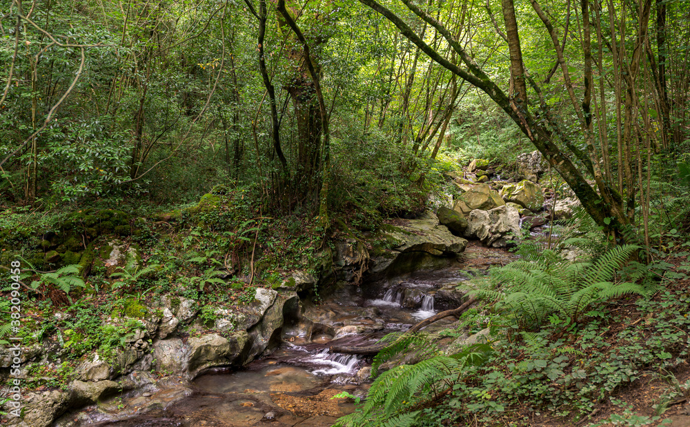 Views of the Arotzarena stream, a small course of water in the Municipality of Zugarramurdi, Navarre, Spain Views of the Arotzarena stream, a small course of water in the Municipality of Zugarramurdi, Navarre, Spain