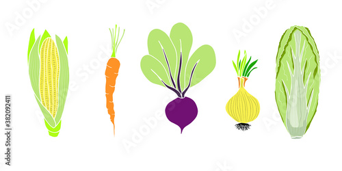 Set of vegetables - corn, carrots, beets, onions, peking cabbage. Vector doodle elements for design. Autumn harvest.