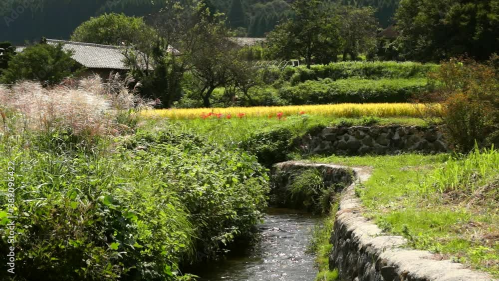 小川が流れる南阿蘇の風景 小川が流れる南阿蘇の風景