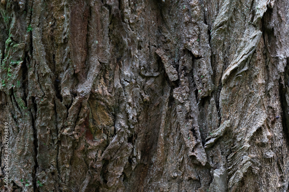 Rough grunge dark tree bark texture with crevices Rough grunge dark tree bark texture with crevices