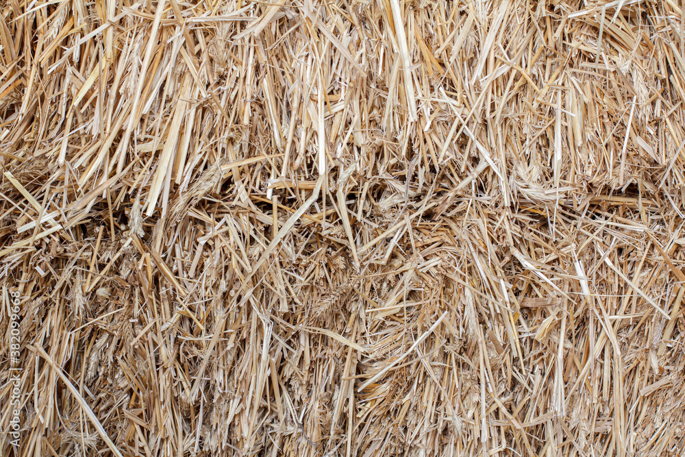 Dry straw stack as a natural background. Dry straw stack as a natural background.