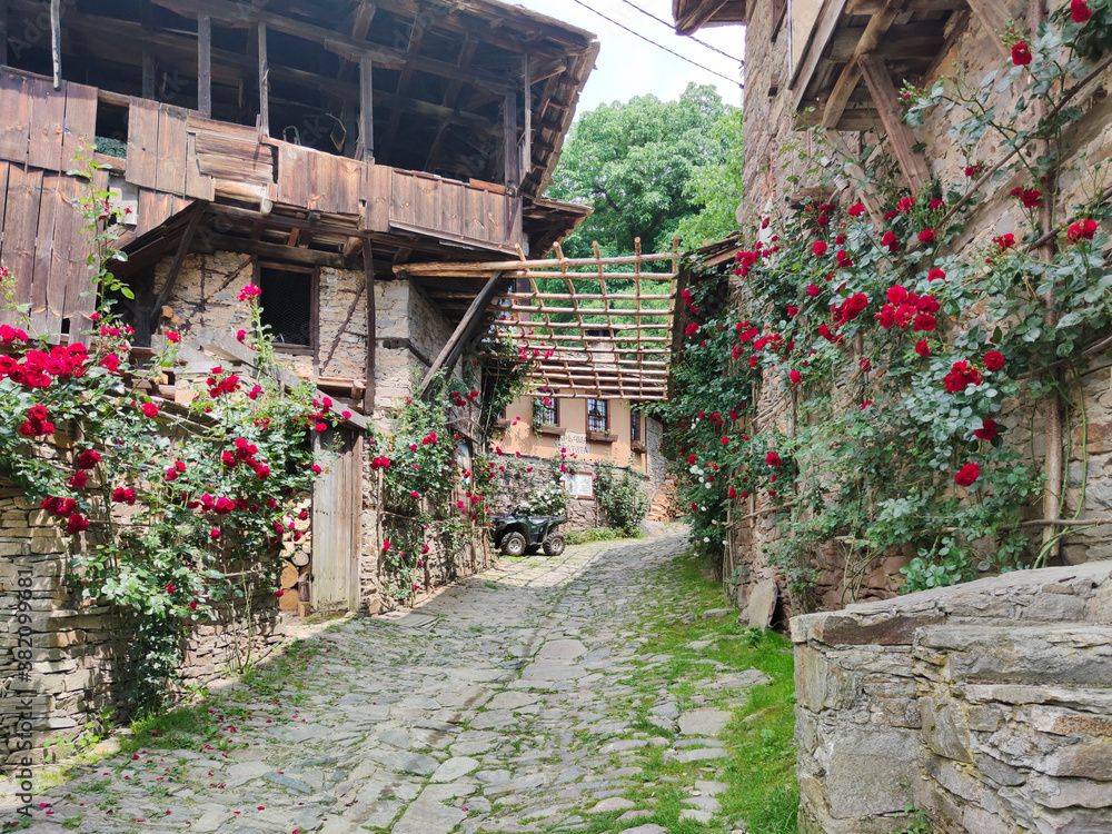 Village of Kovachevits, Blagoevgrad Region, Bulgaria Village of Kovachevits, Blagoevgrad Region, Bulgaria