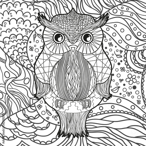 Wallpaper Mural Square ornate pattern with owl. Hand drawn background. Black and white illustration Torontodigital.ca