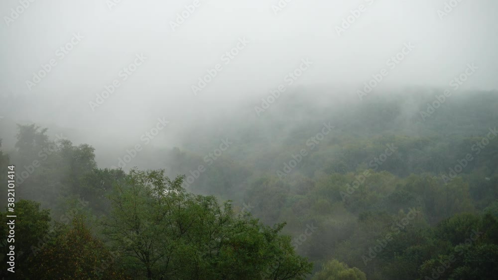 Fog over the trees and rain. Fog over the trees and rain.