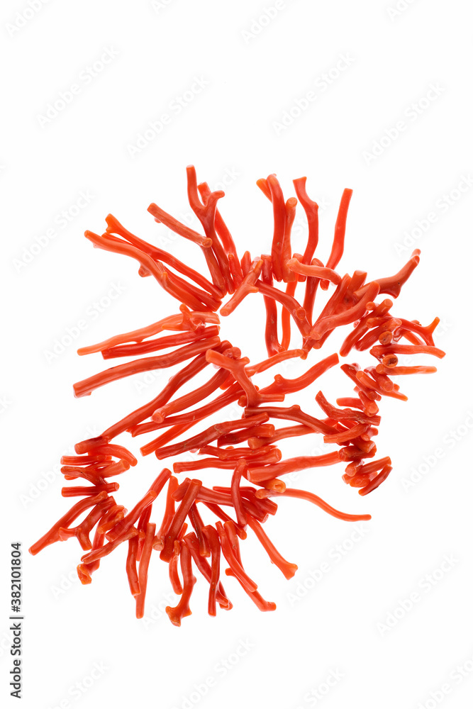 Collana rosso corallo su fondo bianco Collana rosso corallo su fondo bianco