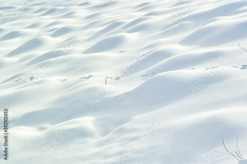 Foto 雪原