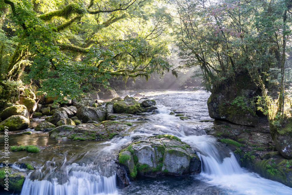 Fototapeta premium 菊池渓谷