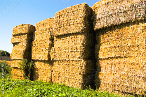 bullets of straw piled up in the meadow