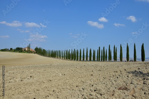 Autumn landscape in Orcia Valley (Val d'Orcia) in Tuscany, Italy, alley with pine trees, farm house on the hill, blue sky background, UNESCO World Heritage 