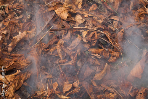 Suche liście kasztanowca palone w ognisku, zbliżenie.
