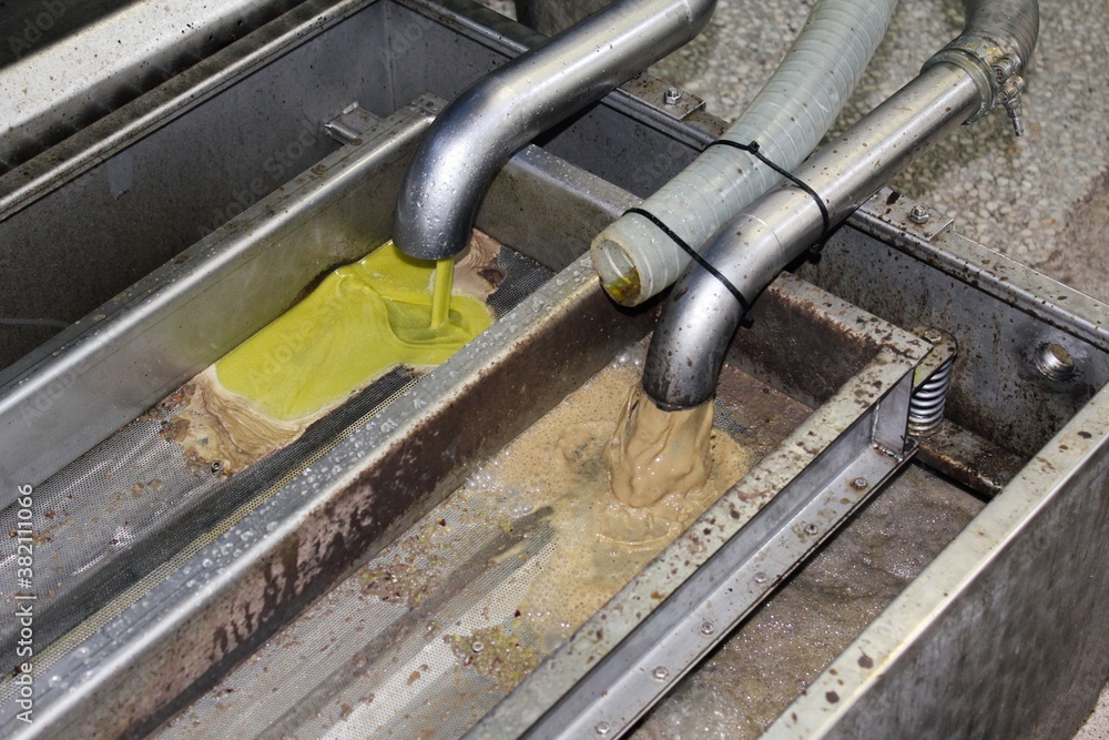 Extra virgin olive oil extraction process in olive oil mill in the outskirts of Athens in Attica, Greece. Extra virgin olive oil extraction process in olive oil mill in the outskirts of Athens in Attica, Greece.