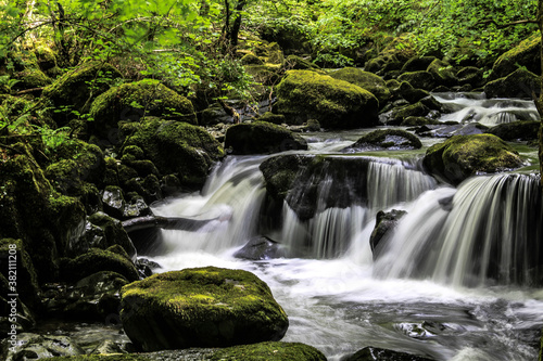 waterfall in the forest