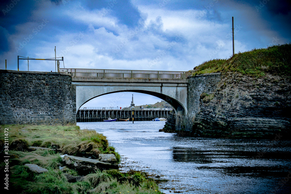 Fototapeta premium bridge over the river