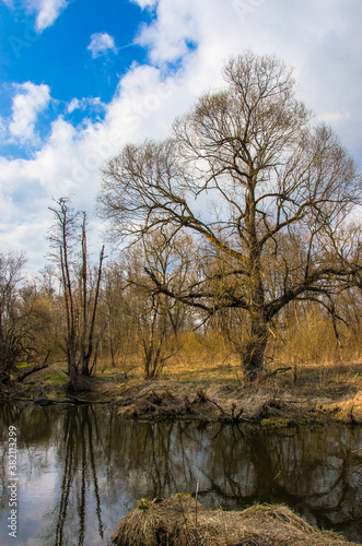 a small field river in early spring.russian provincial landscape
