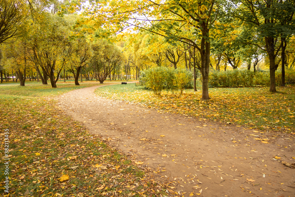 Beautiful autumn landscape with yellow trees, dry orange leaves and sun's rays. Colorful foliage in city park. Falling leaves on natural background Beautiful autumn landscape with yellow trees, dry orange leaves and sun's rays. Colorful foliage in city park. Falling leaves on natural background