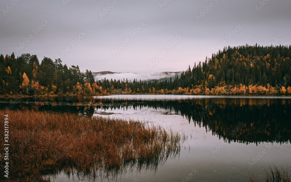 Fototapeta premium Reflex in the lake, Norwegian mountaons