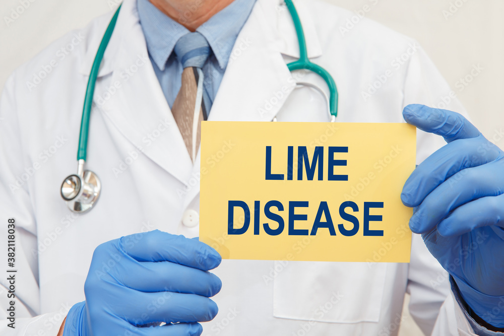 Close-up of a male doctor holding a sign with the text Lime Disease Close-up of a male doctor holding a sign with the text Lime Disease