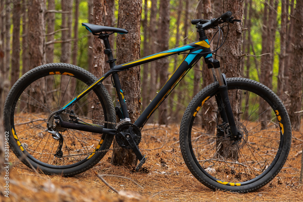 Mountain bike in pine forest