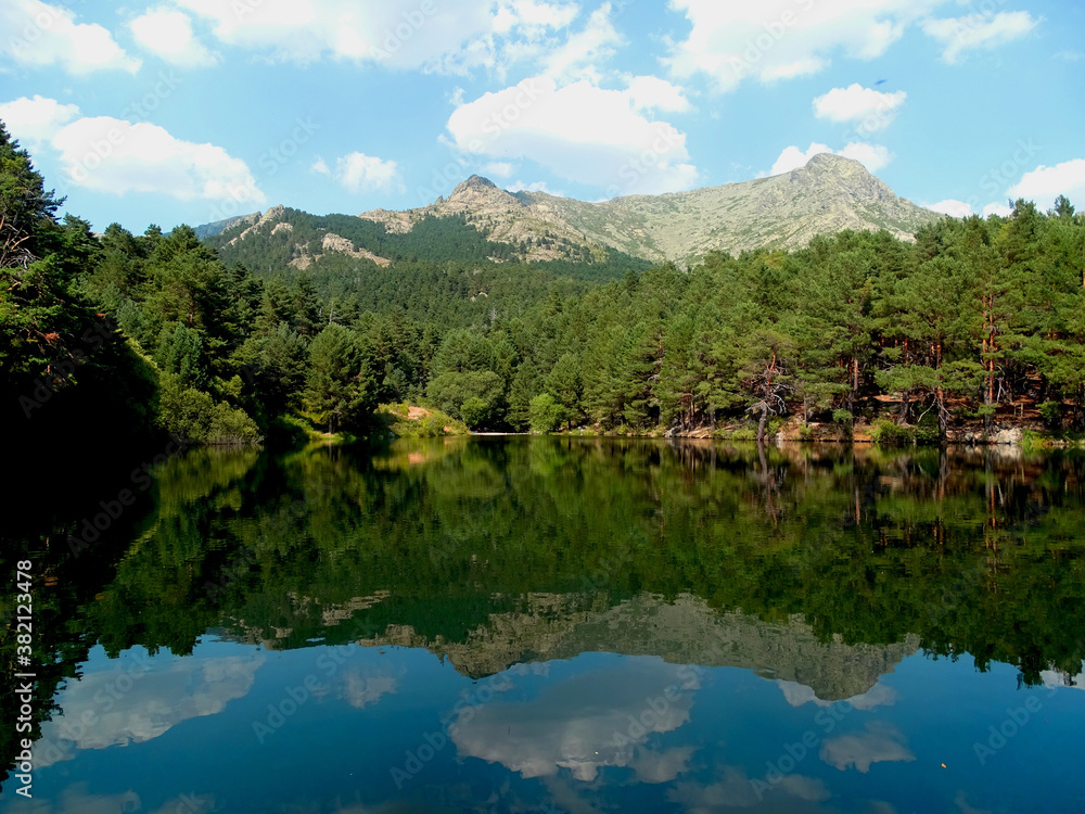 Reflejo natural de un bosque rodeado de montañas /  Natural reflection of a forest surrounded by mountains