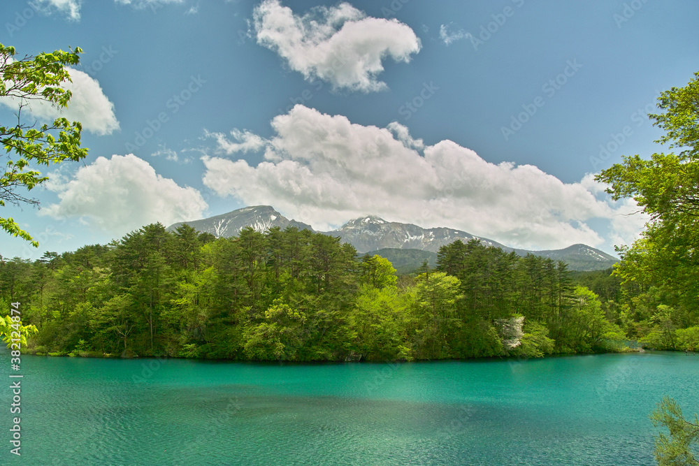 Fototapeta premium 毘沙門沼
