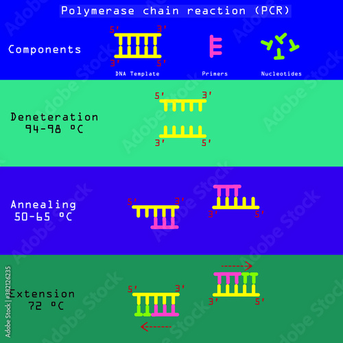 PCR is a molecular technique for identification of coronavirus