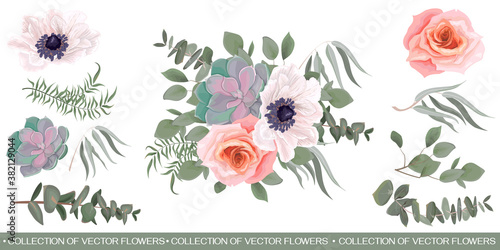 Flowers on a white background. White anemones, pink roses, eucalyptus, succulent plants. Green plants and leaves. Greenery isolated on white background.