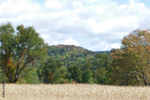 autumn cornfield landscape with trees, mountain and sky