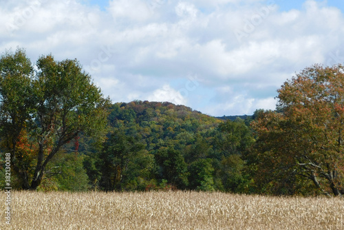 autumn mountain landscape with trees and sky