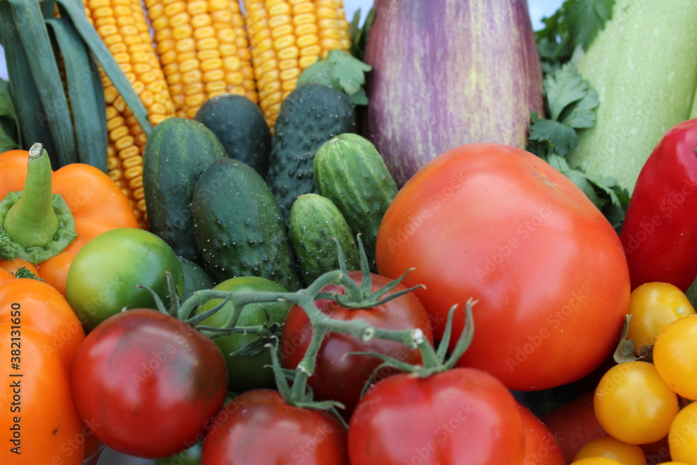 food background vegetables tomatoes red yellow cucumbers green carrots orange corn potatoes beets cabbage