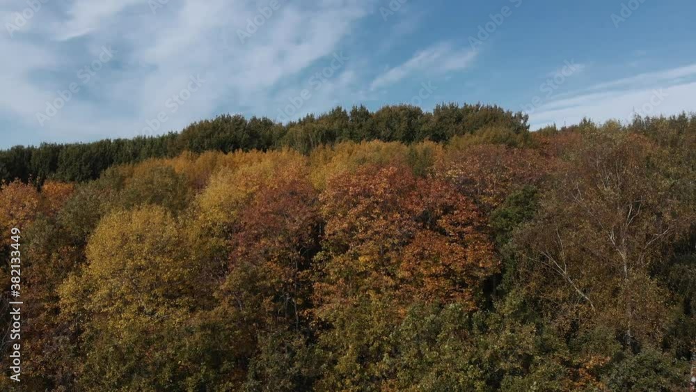 The camera flies up to the autumn forest and rises high above it.