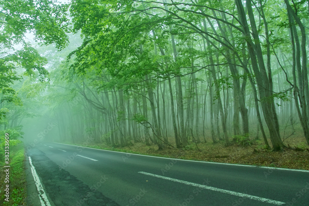 Obraz premium 十和田ゴールドライン