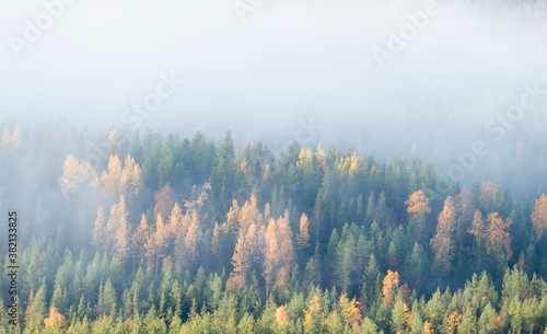 Foggy morning during autumn foliage at colorful taiga forest at Ruka fell, near Kuusamo, Northern Finland © Kersti Lindström
